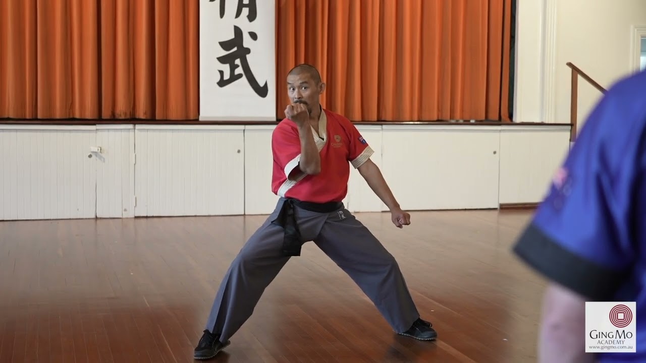 Desynchronised negative circles, Chen Style Tai Chi Practical Method