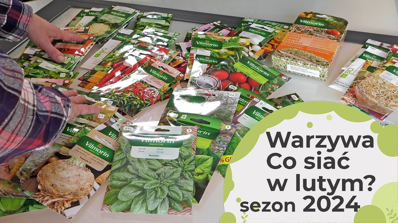 Jakie warzywa można, a nawet trzeba wysiać w lutym, jeżeli chcemy uprawiać je w roku 2024 roku