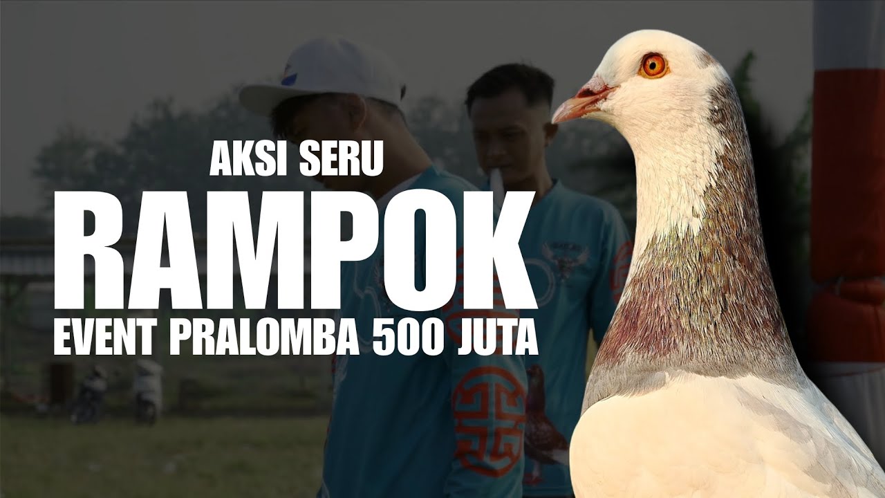 AKSI SERU MERPATI RAMPOK DI EVENT PRALOMBA 500 JUTA LAPAK JKK SEMARANG