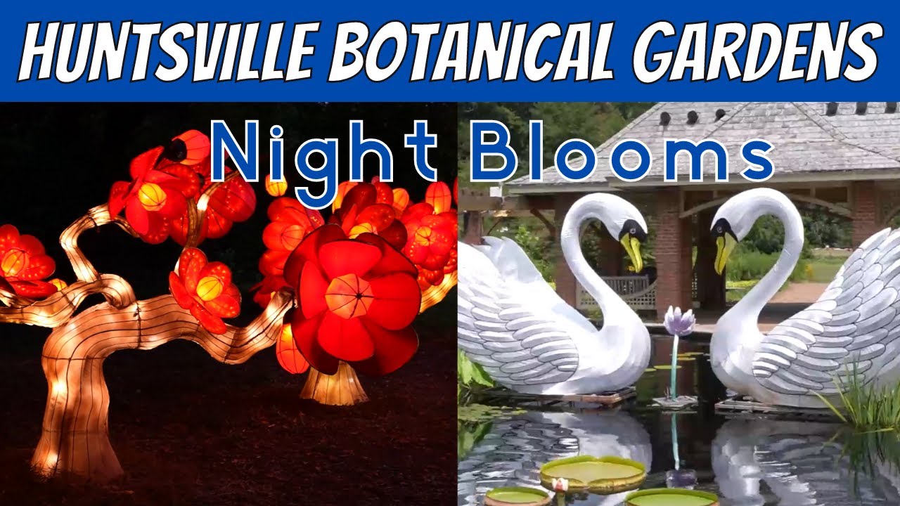 Huntsville Botanical Gardens and Night Blooms | Huntsville Alabama