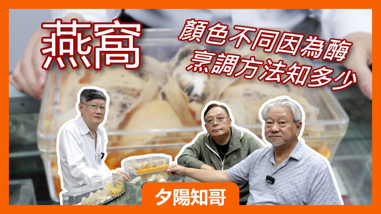 中藥篇 6｜燕窩｜顏色不同因為酶