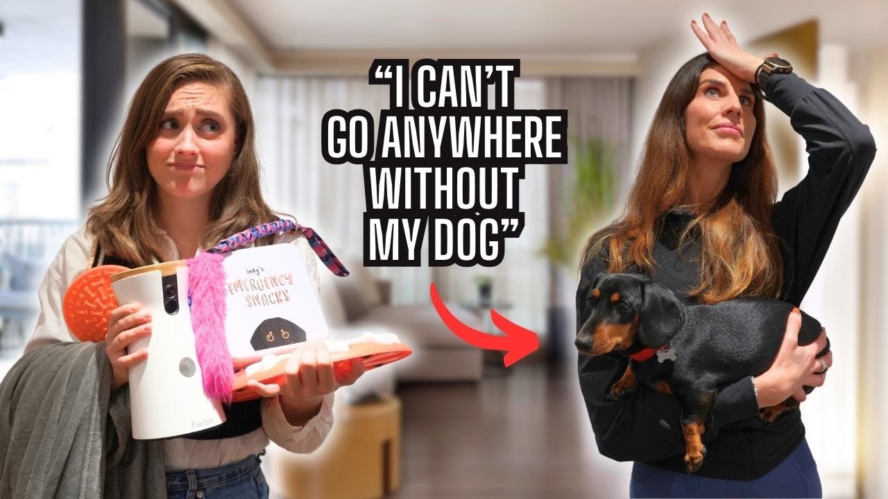 “My Diva Dachshund Is Ruining My Life” - How to Address Separation Anxiety