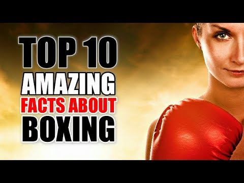 [Boxing Fight] Top 10 Amazing Facts About Boxing