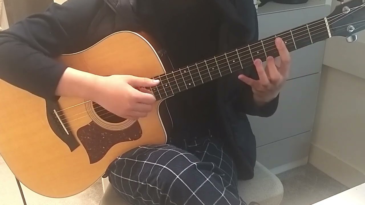 命ばっかり / It's Just Life (Guitar cover)