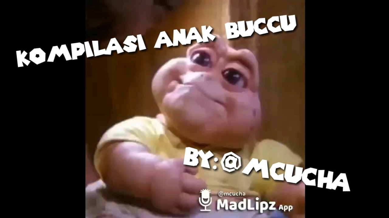 Kompilasi Video anak Buccu @mcucha|Kompilasi Video #1