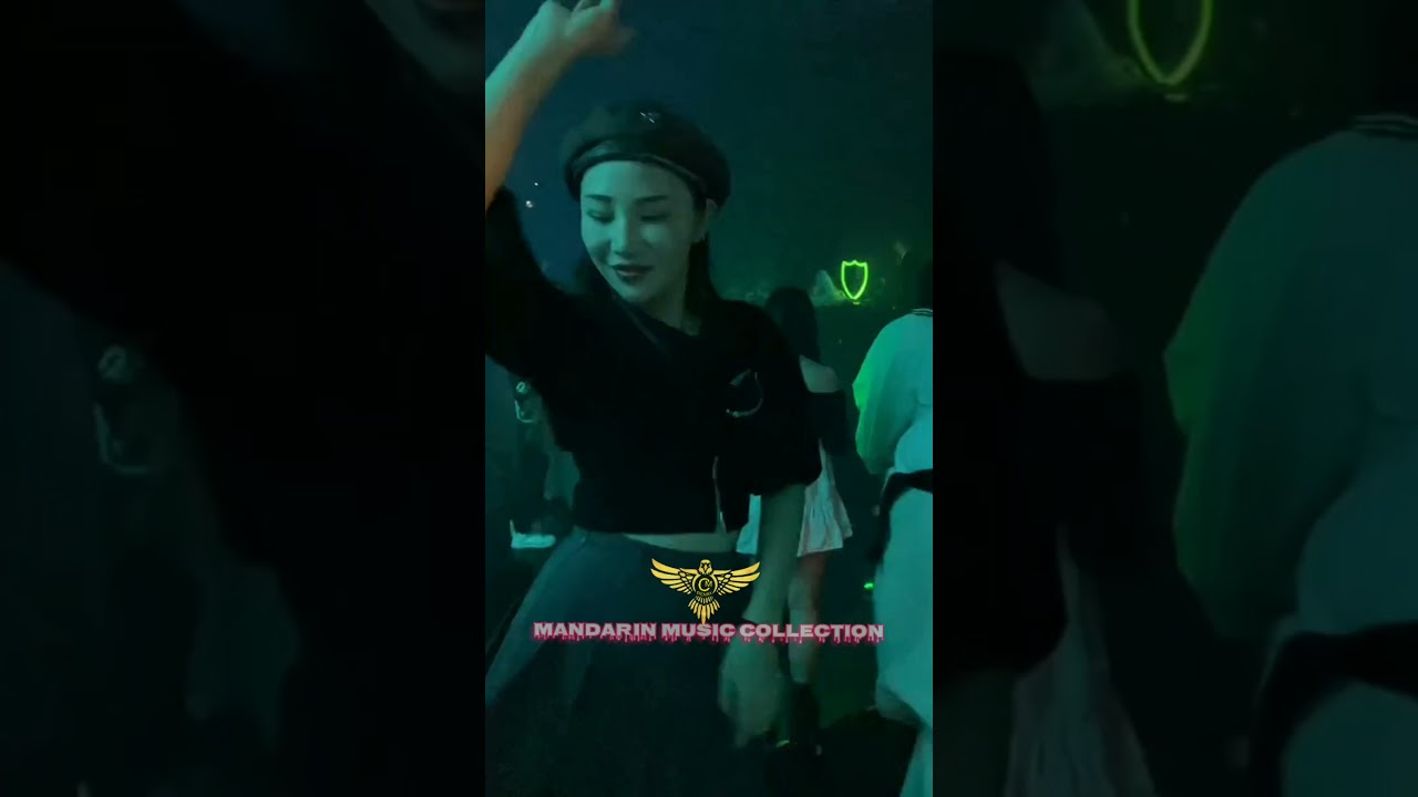 我曾用心爱着你 DJ Remix Wo Ceng Yong Xin Ai Zhe Ni 😍😘😊