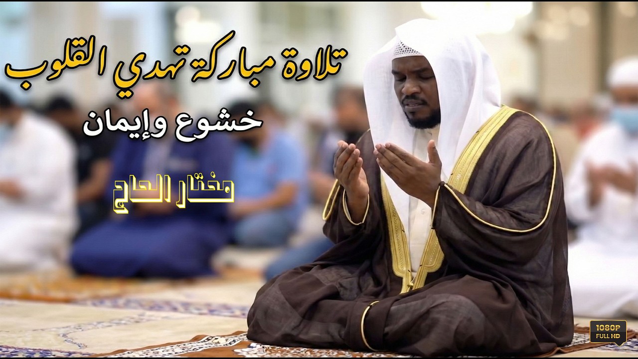 تلاوة مباركة تهدى النفوس .. خشـــوع و إيمـــان