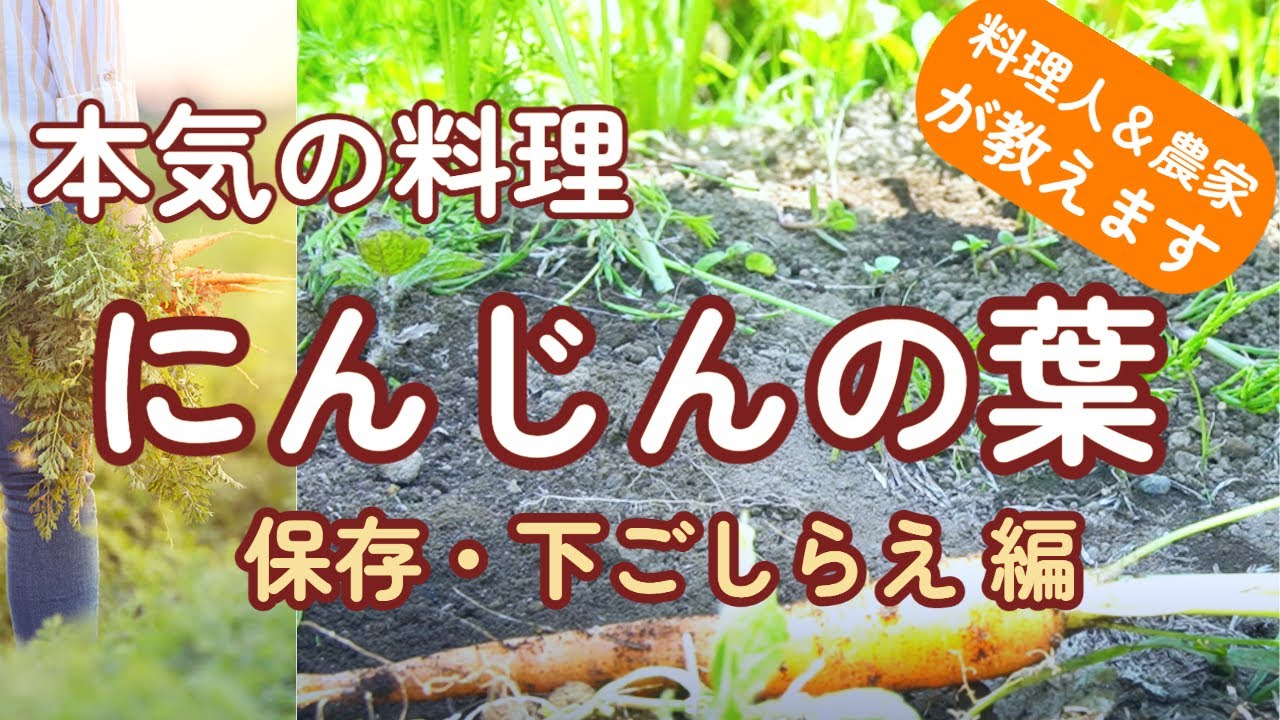 【にんじんの葉っぱ】①人参の葉の美味しい食べ方　保存方法、下ごしらえ編