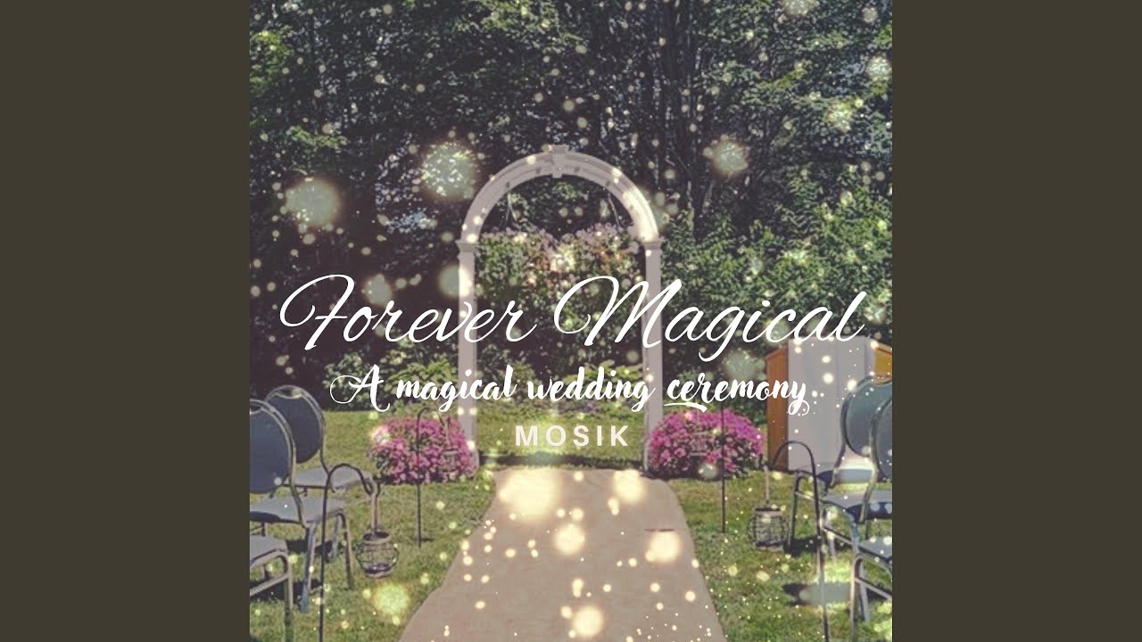 Across the Stars - A Magical Bride Entrance