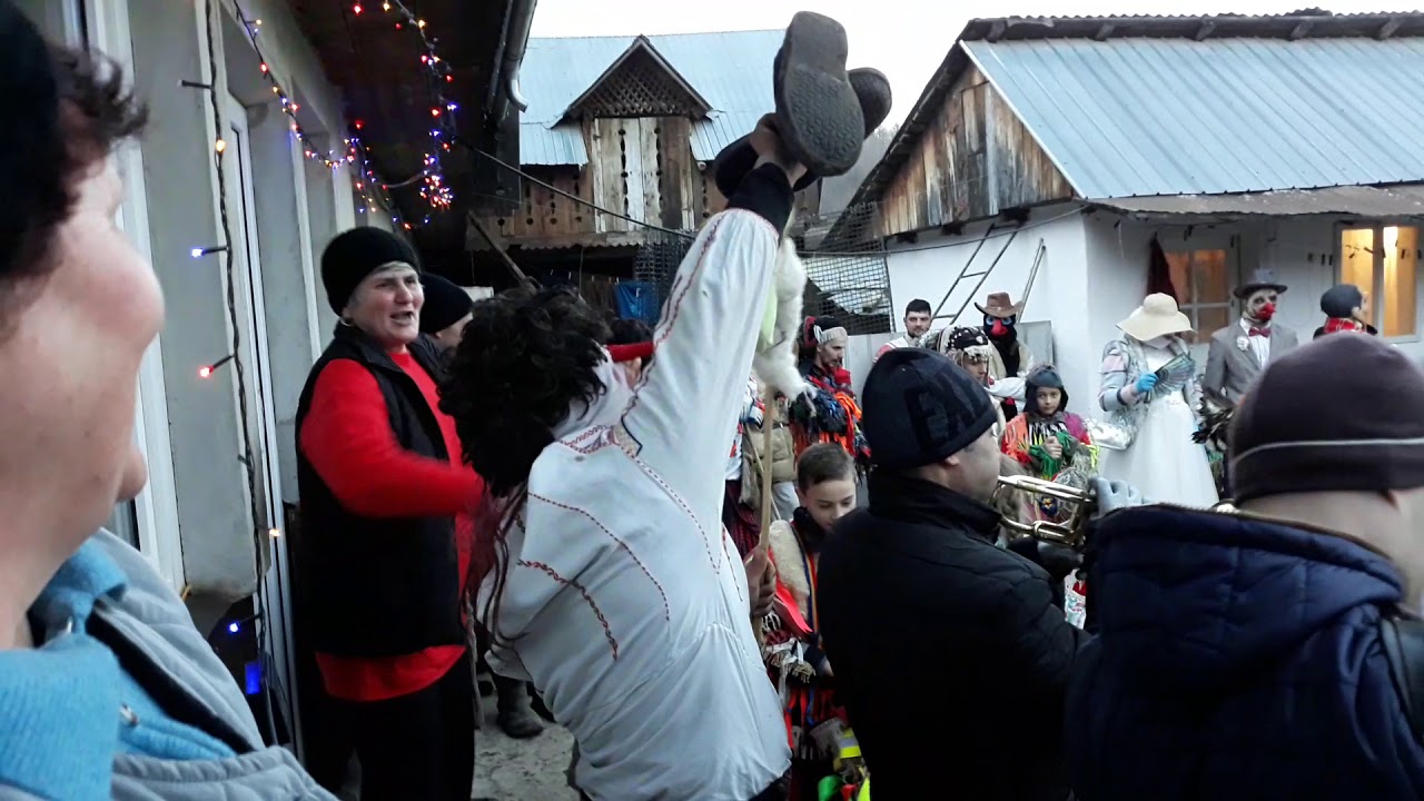 Capra de la Băhnășeni 2018