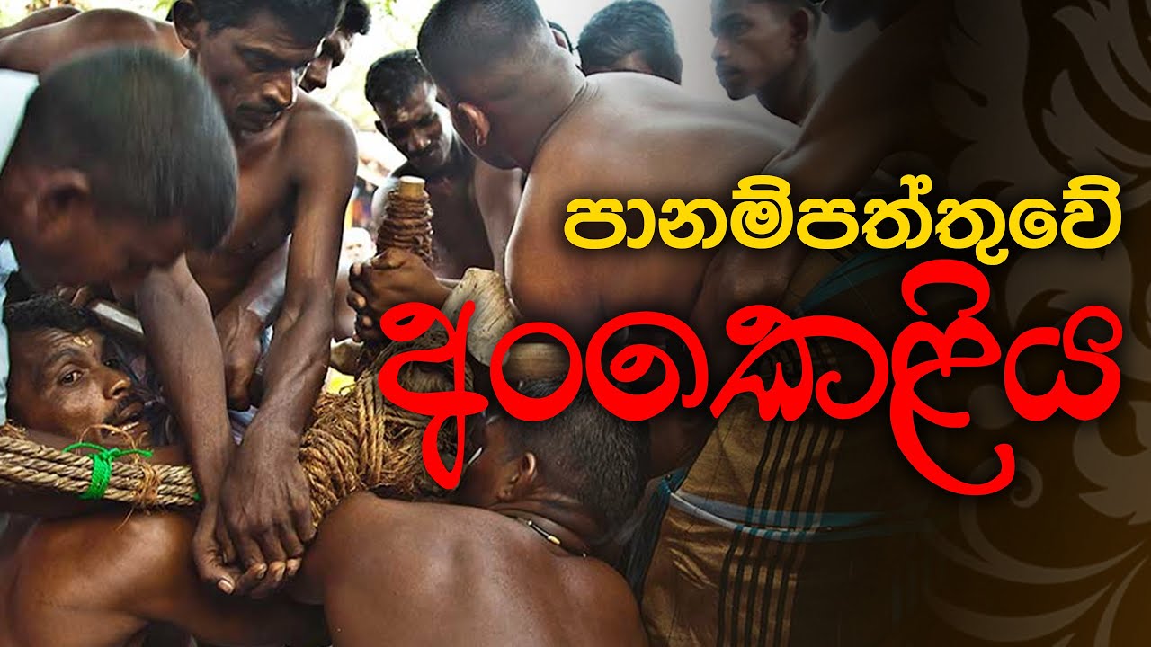 පානම්පත්තුවේ අං කෙළිය | Haritha Tv | Panampaththuwe Ankeliya | Documentary