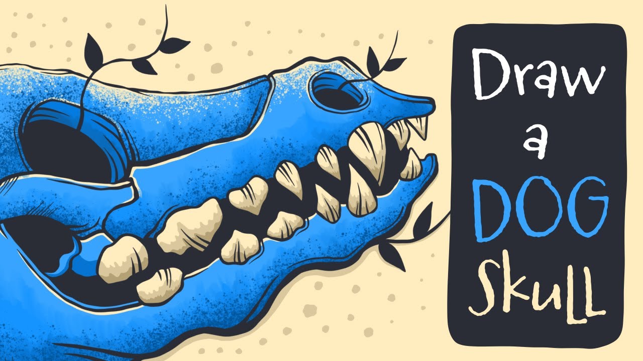 How to Draw a Cool Dog Skull in Procreate