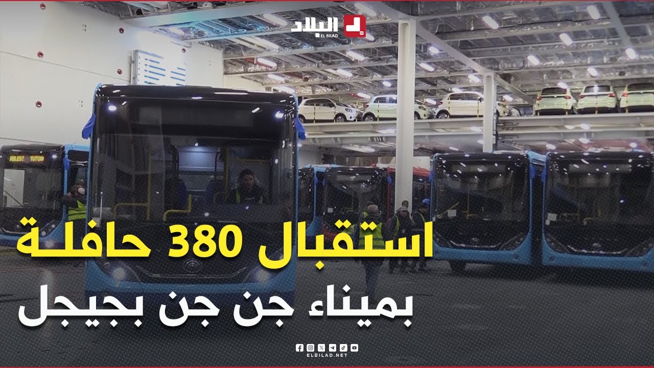 جيجل.. استقبال 380 حافلة بميناء جن جن ضمن البرنامج الوطني لاقتناء 10 آلاف حافلة