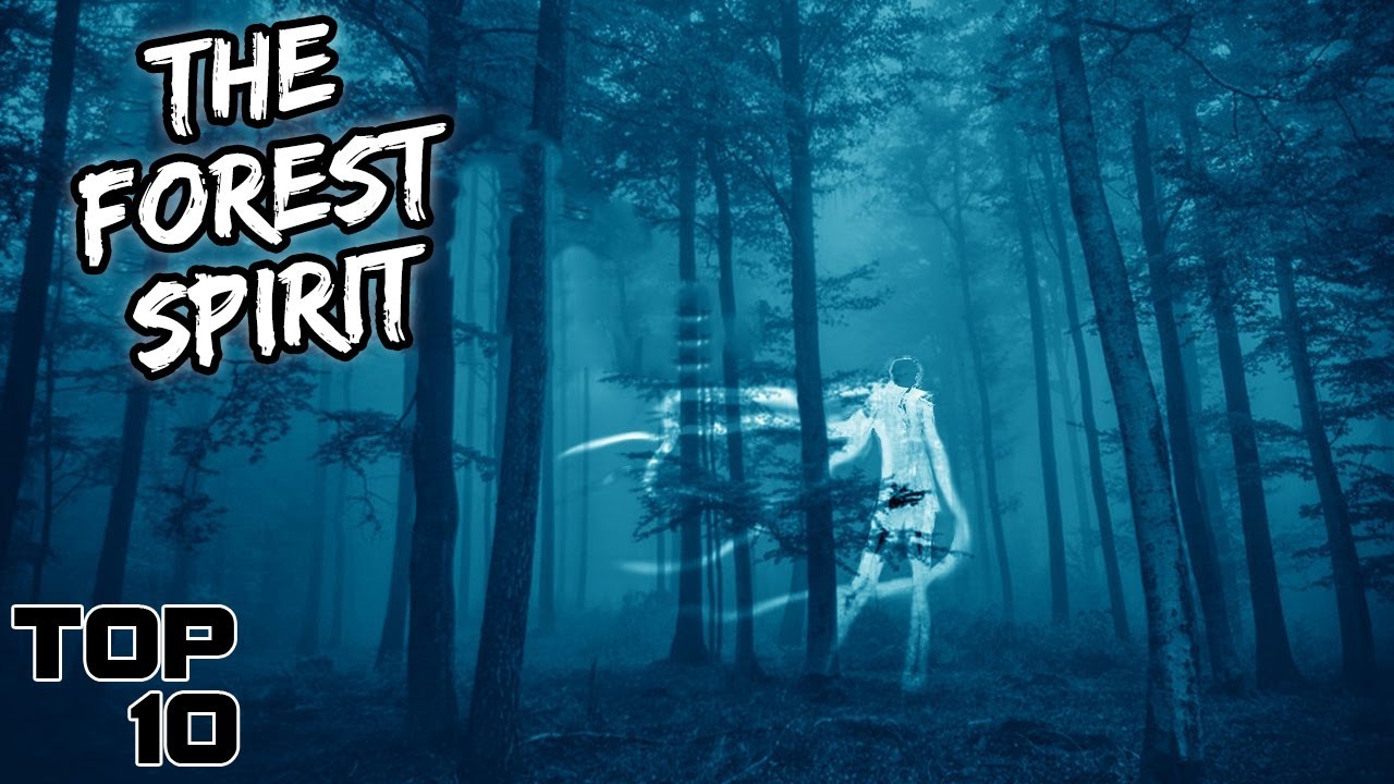 Top 10 Forest Ranger Stories That Will Stop You From Entering The Woods
