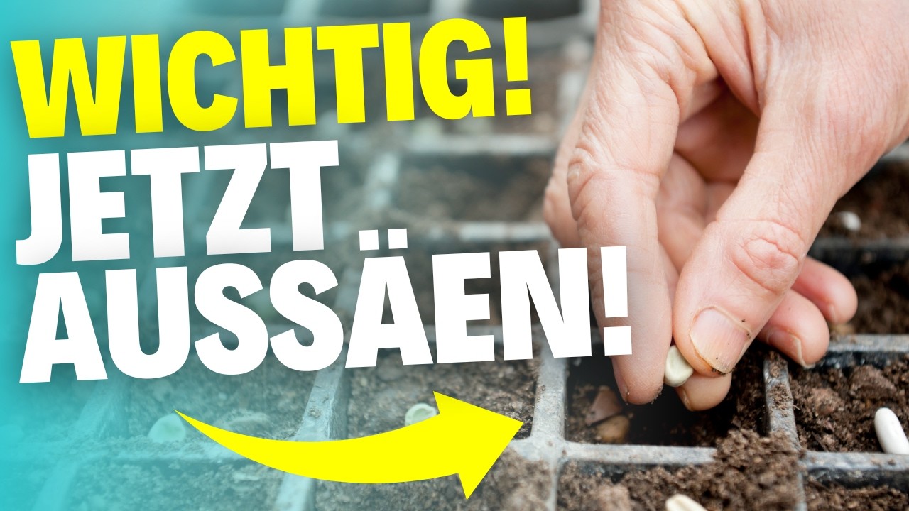 Diese 5 Pflanzen solltest du Ende Februar aussäen!