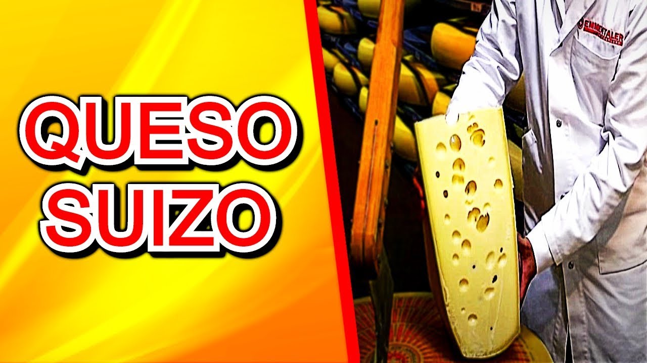 COMO se HACE el QUESO emmental paso a paso ✅