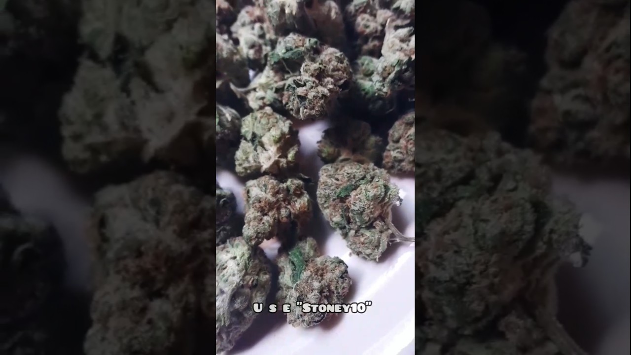 Shophellomary Greenhouse GH Wedding Chapel THCA FLOWER REVIEW #shophellomary