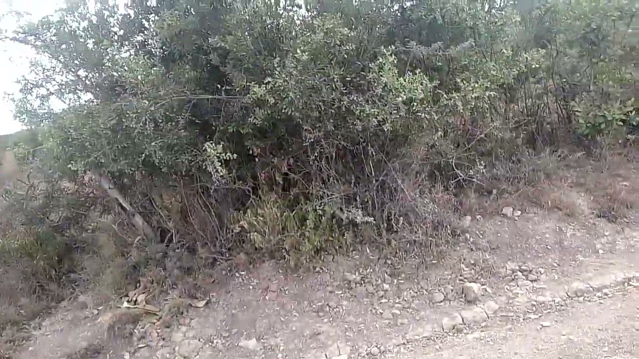 Brave old woman who defended her children from thugs njangiri