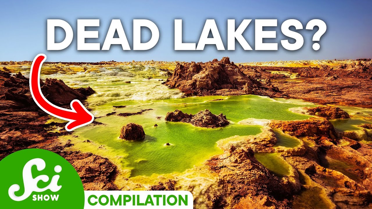 The 5 Wildest Lakes on Earth | Compilation