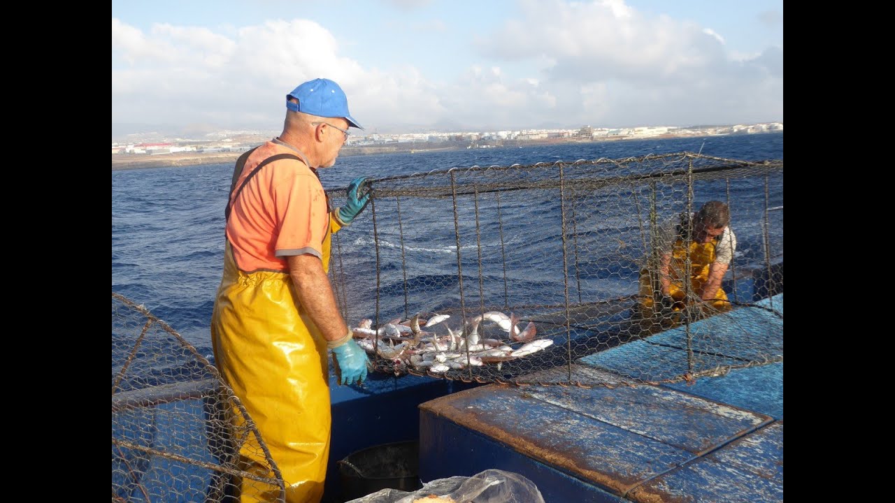 Pesca profesional con nasa