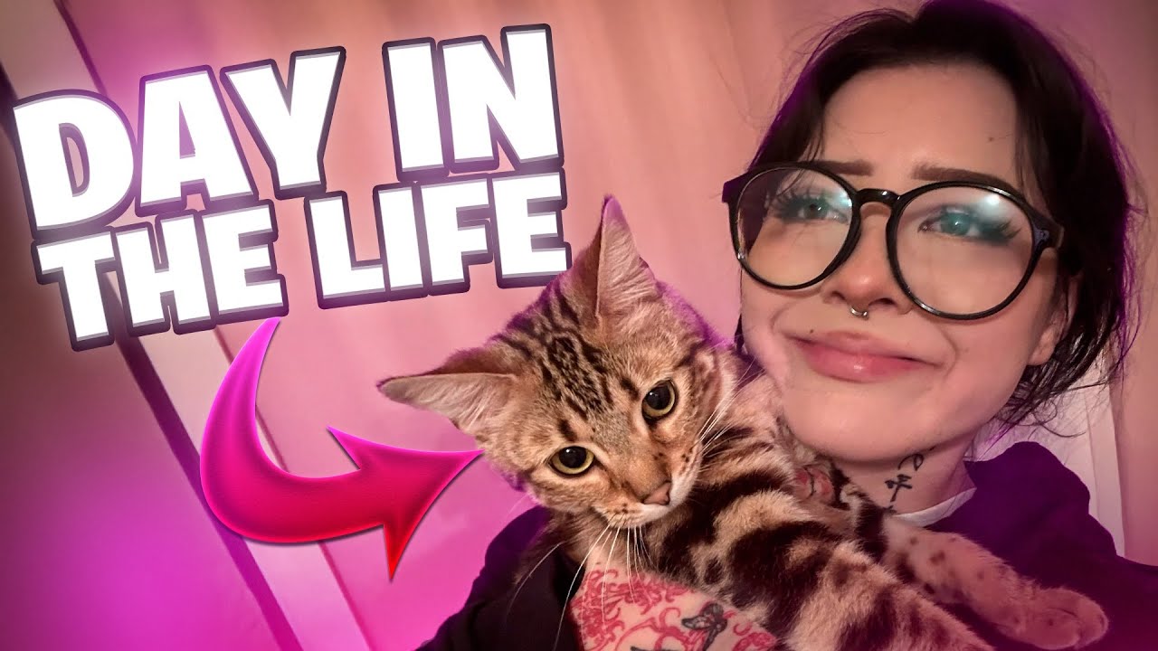 DAY IN THE LIFE OF A CAT MOM