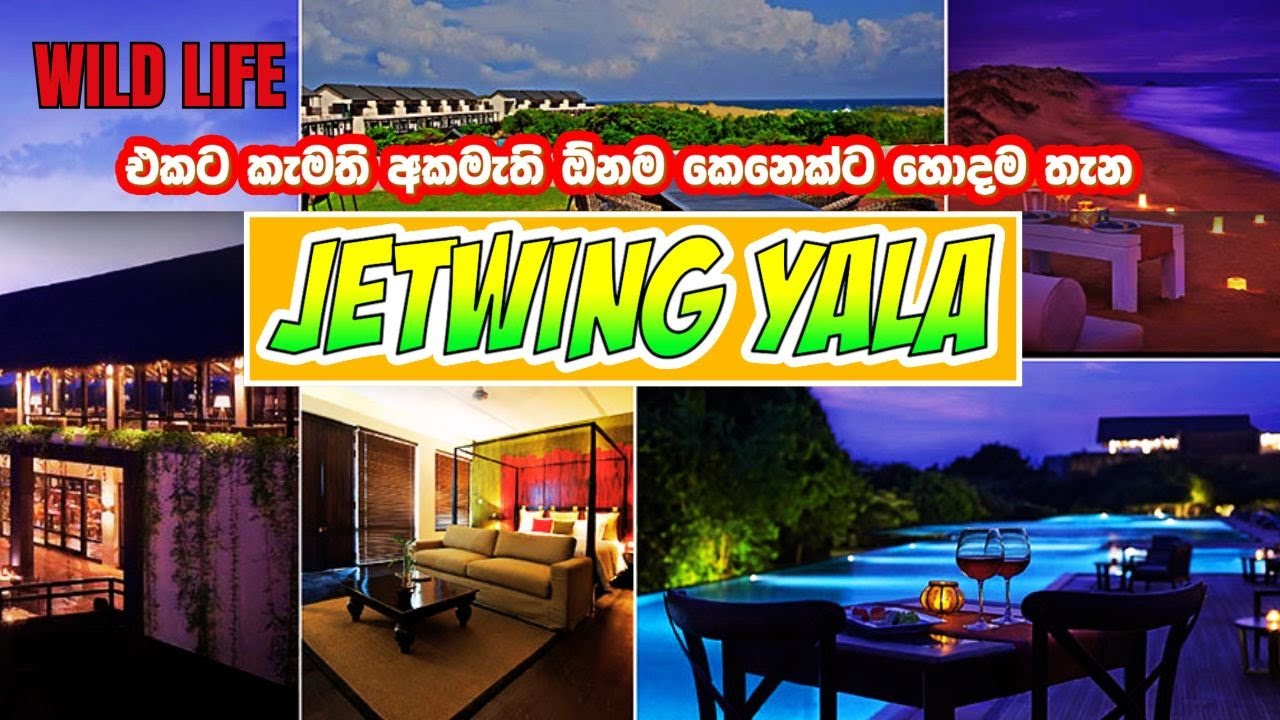 YALA coastal wilderness Safari හොදම Hotel එක🏝🐘 | Jetwing  Yala |  Review #jetwing #travel #vacation