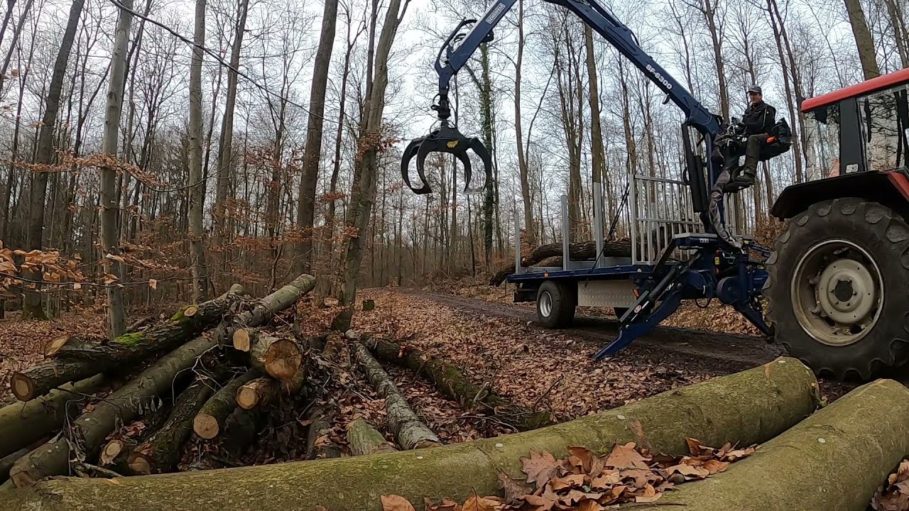 Brennholz Transport Feb  21