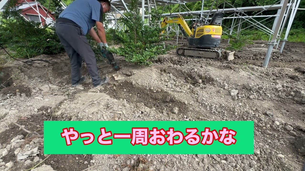 ユンボ×電動ドリルで榊の移植大作戦