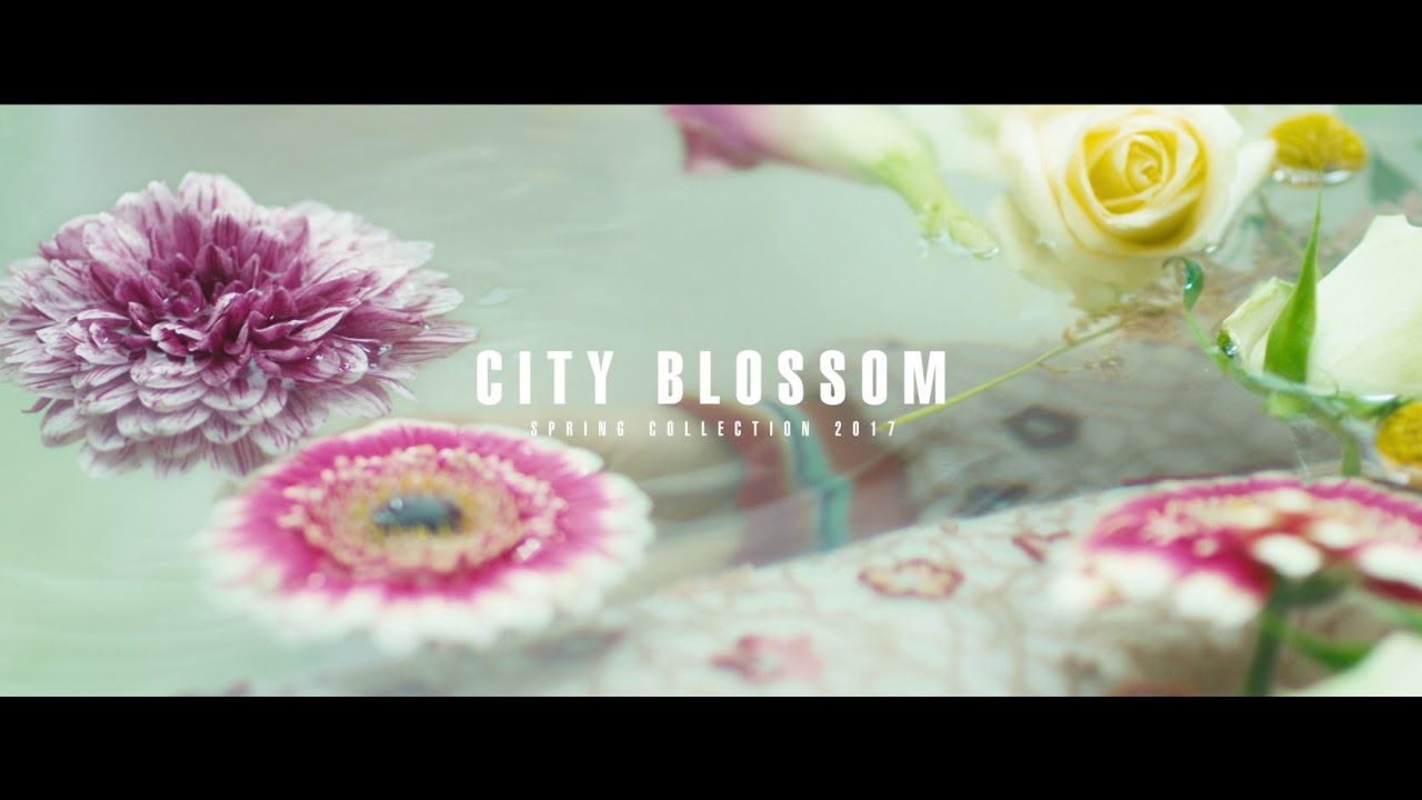 CITY BLOSSOM