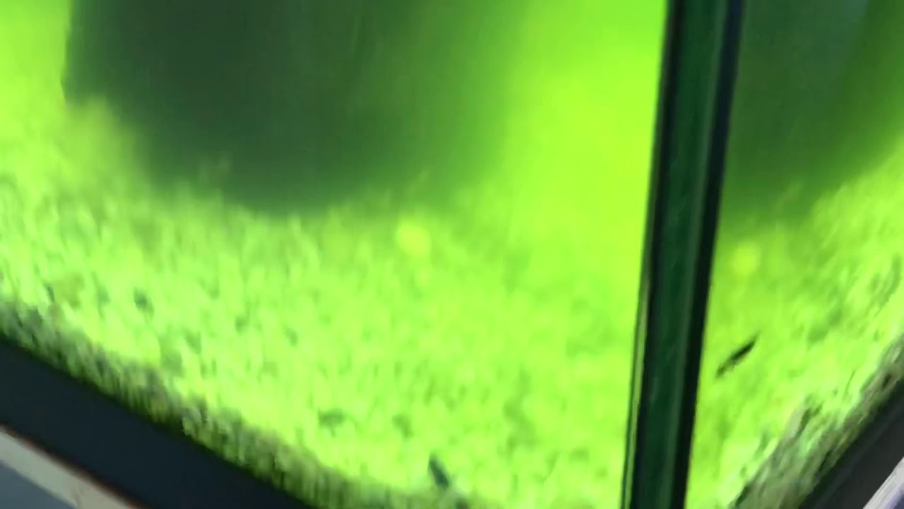Eheim REEFLEX UV 350 80-350 LTR