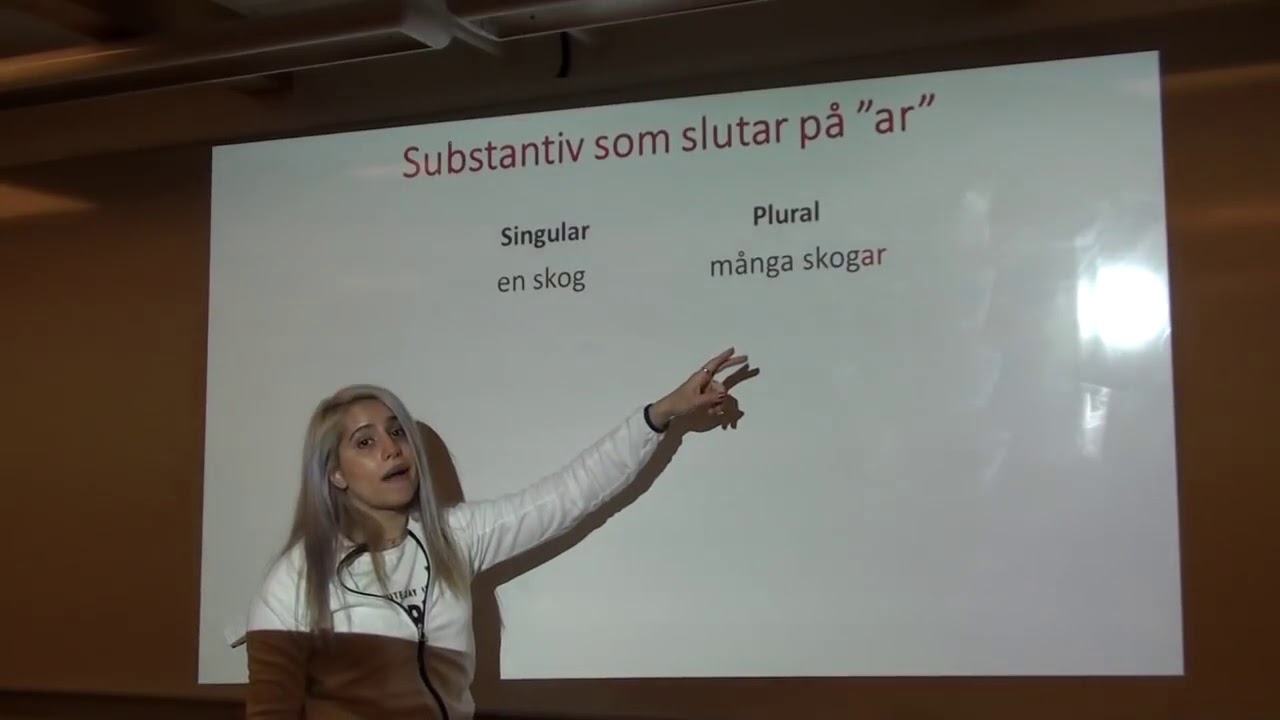 Sfi substantiv plural