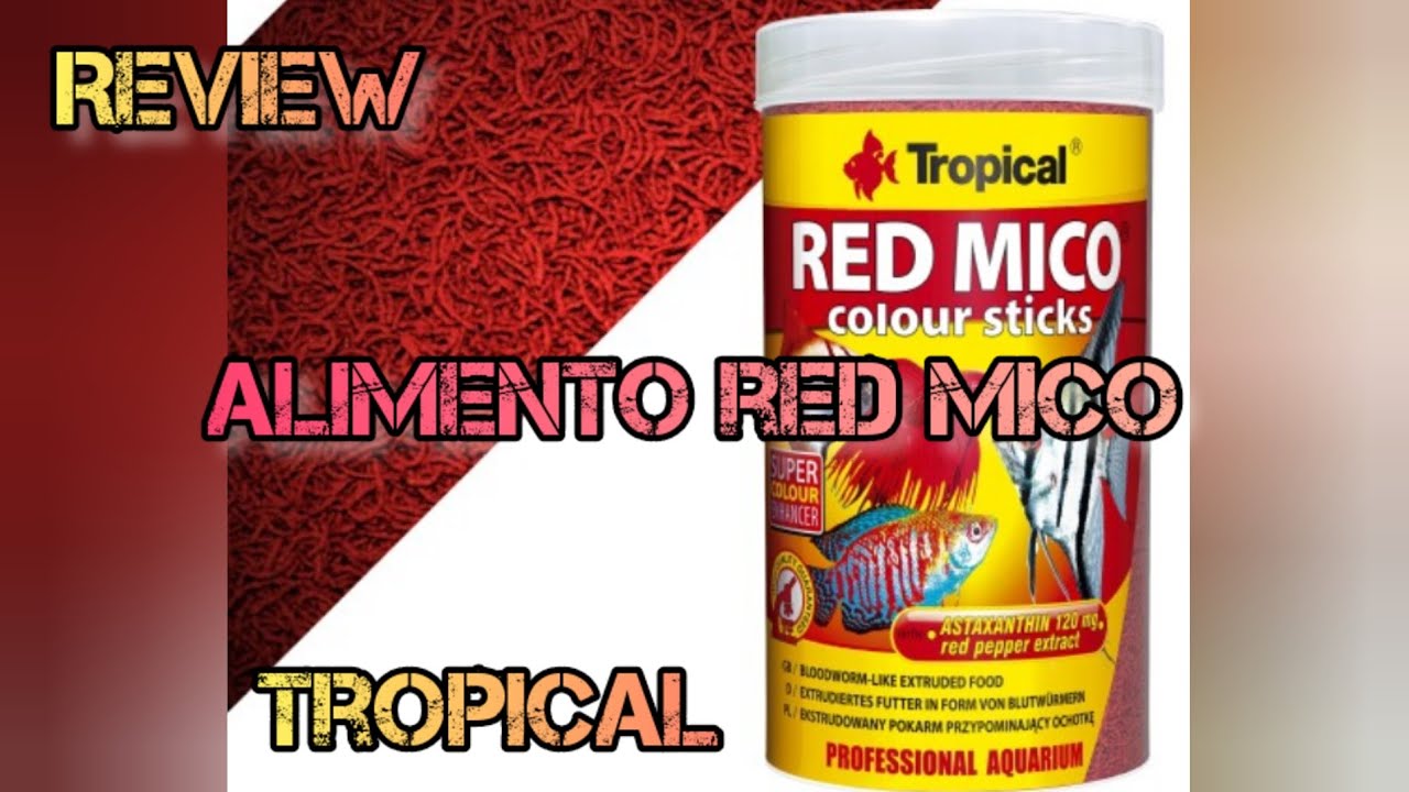 Regalo navideño para nuestros peces. Red Mico de Tropical  #tropicalfish #acuario #acuariofilia