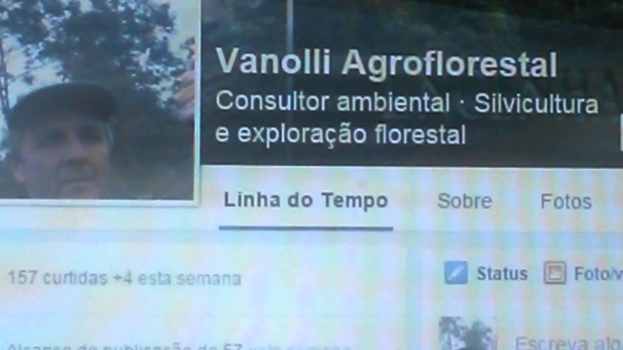 Vanolli Consultoria Florestal e Ambiental