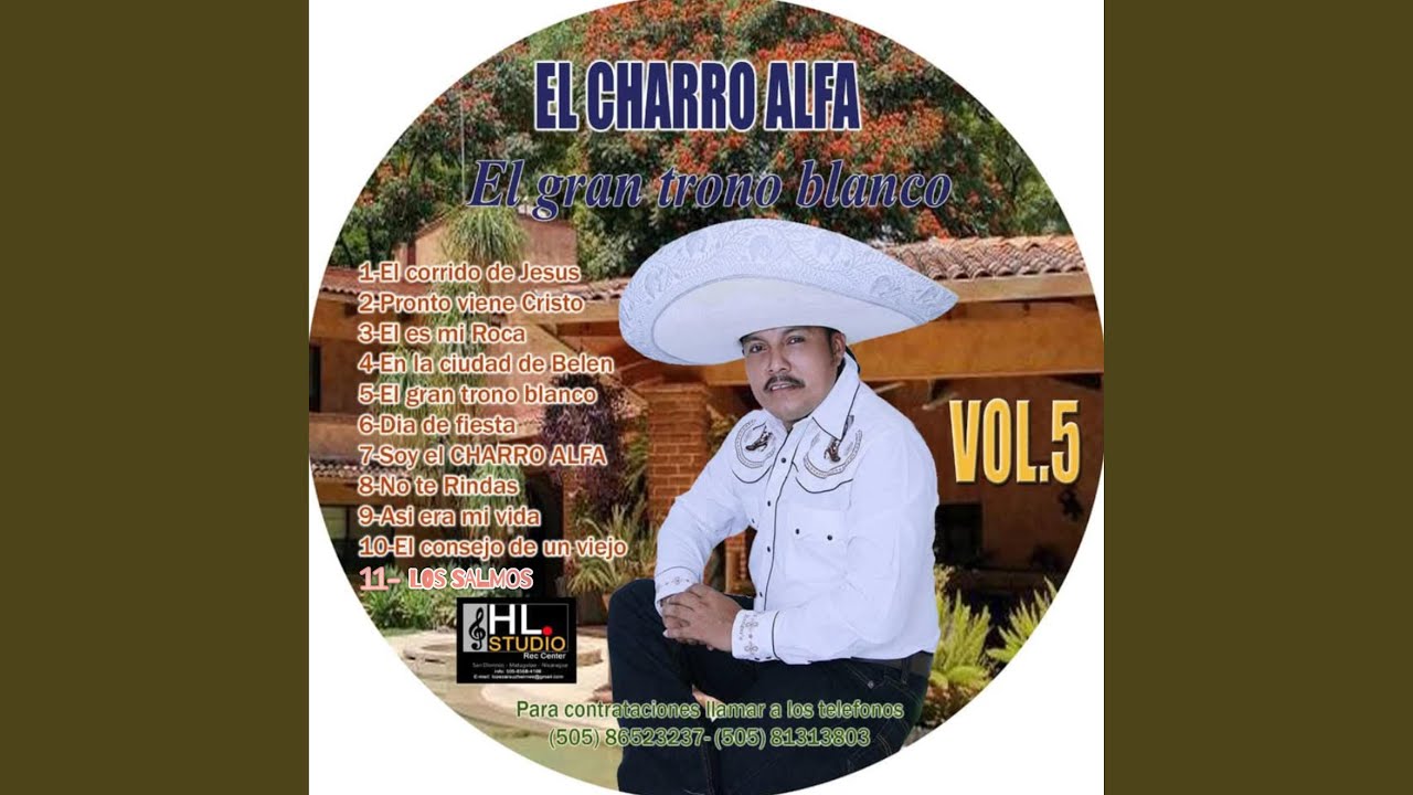 Dia de Fiesta