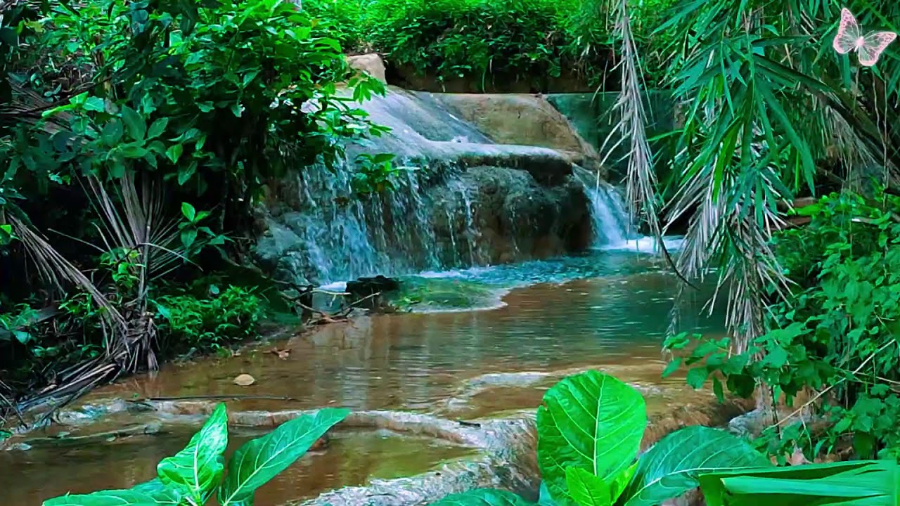 Relaxing Music For Stress Relief, Anxiety and Depressive States🌲 Heal Mind, Body and Soul Calm 107