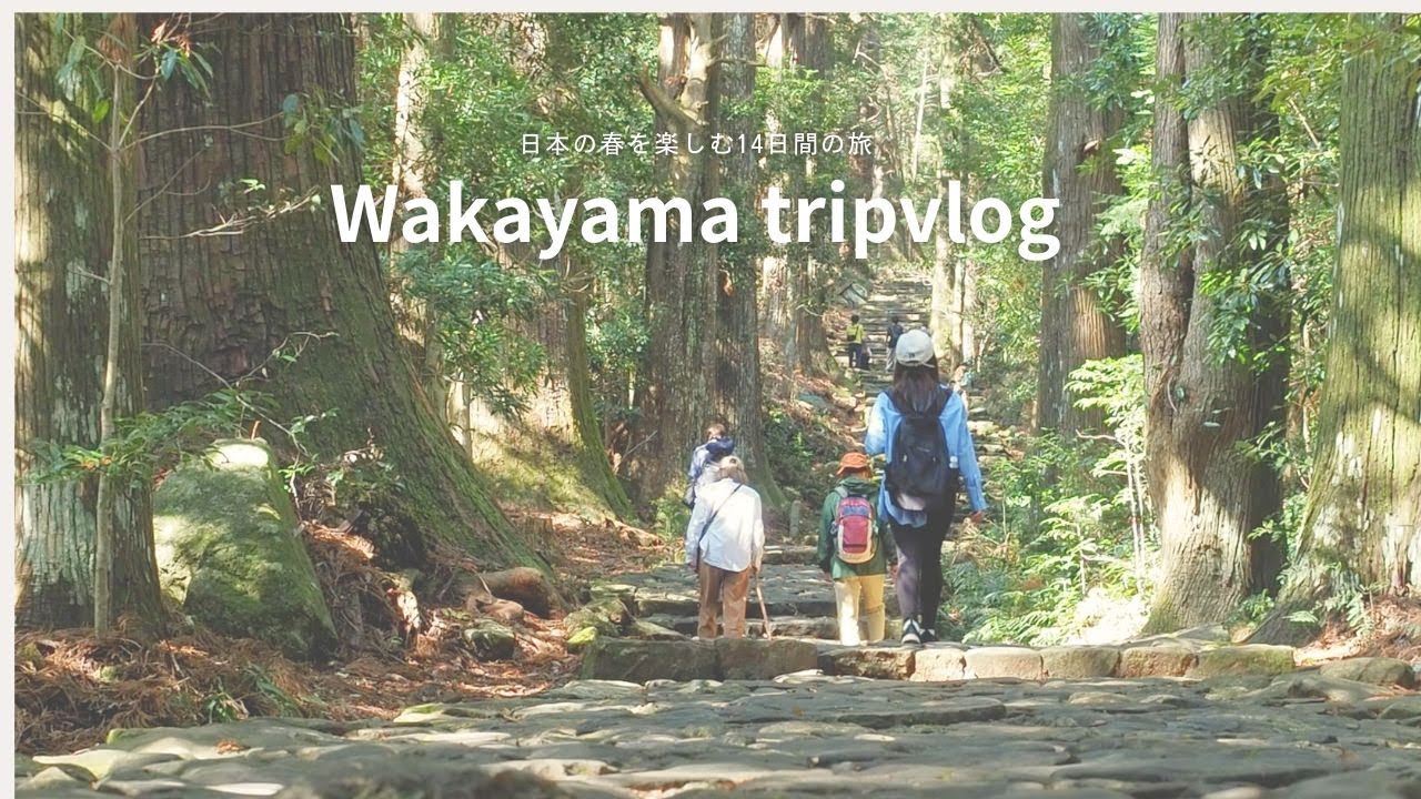 【和歌山vlog】ぐるっと周遊旅。熊野古道、高野山の長石道を歩く｜Travel in Wakayama, Japan.Koya,Nachi, Kumano Kodo