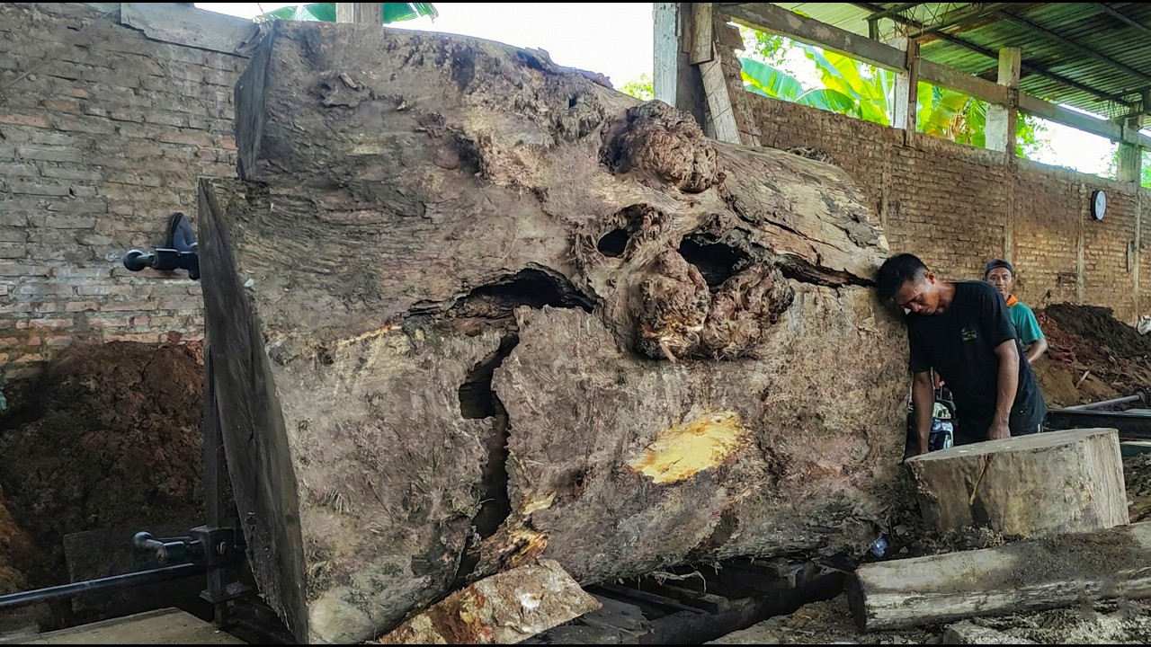 Big Log Cutting Gone Wrong? Watch Closely