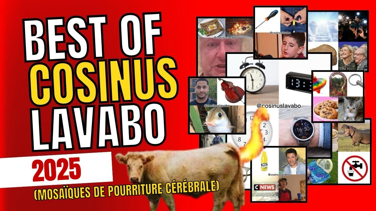 TOUTES les mosaïques de pourriture cérébrale de COSINUS LAVABO (2025)