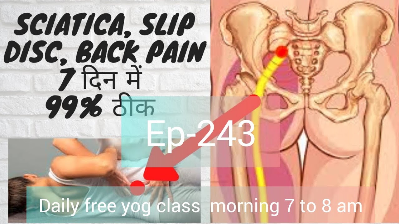 THE ASANA ARC के live #yogclass में आज शरीर की सभी 206 हड्डियों को लचीला कैसे बनाये🧘🏃🕉️♥️