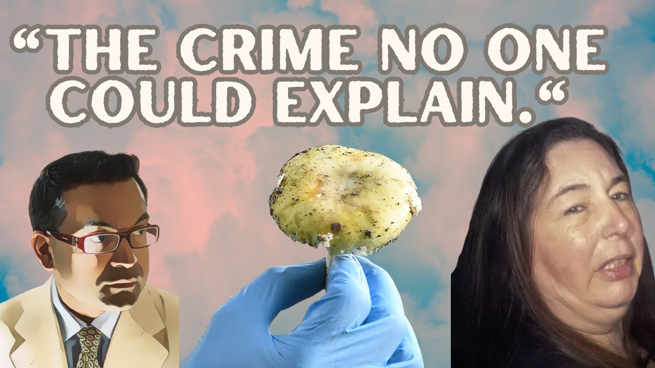 The Mushroom Murder: A Psychiatrist Unpacks the Erin Patterson Murder Motive Mystery