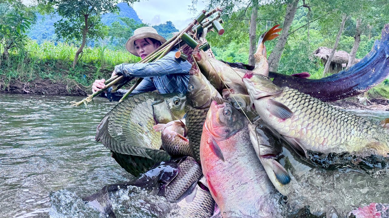 Traditional Fishing Skills - Single Mother Catches a School of Scary Giant Fish in a Remote Stream