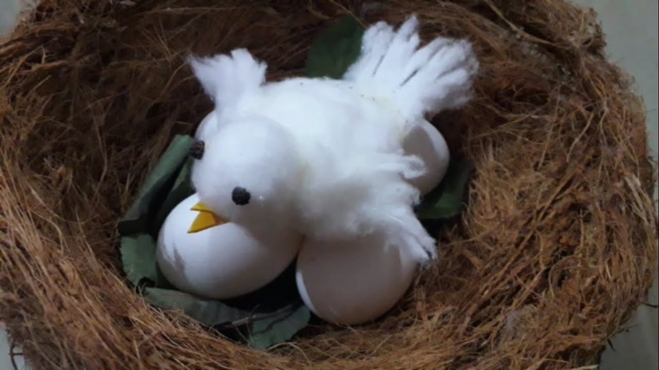 Best way to recycle Coconut Husk/ Bird Nest using Coconut Husk/how to make nest for birds at home