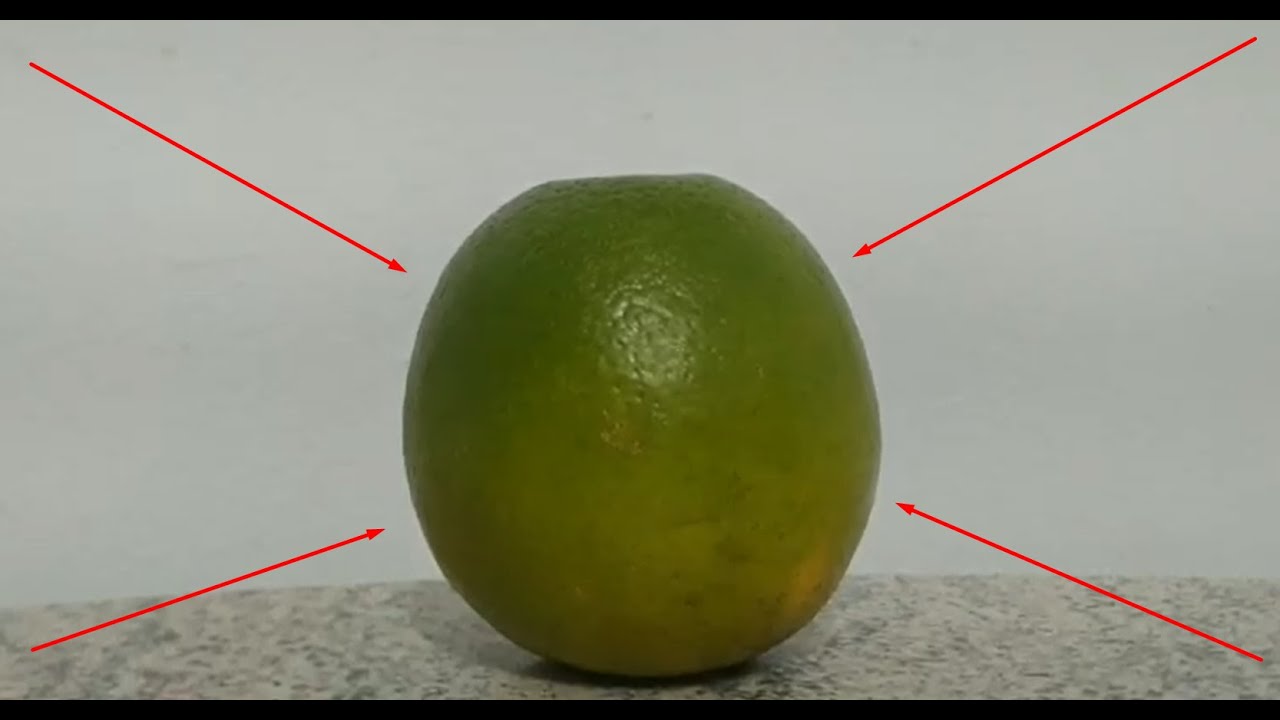OLHA A LARANJA (LOOK AT THE ORANGE)