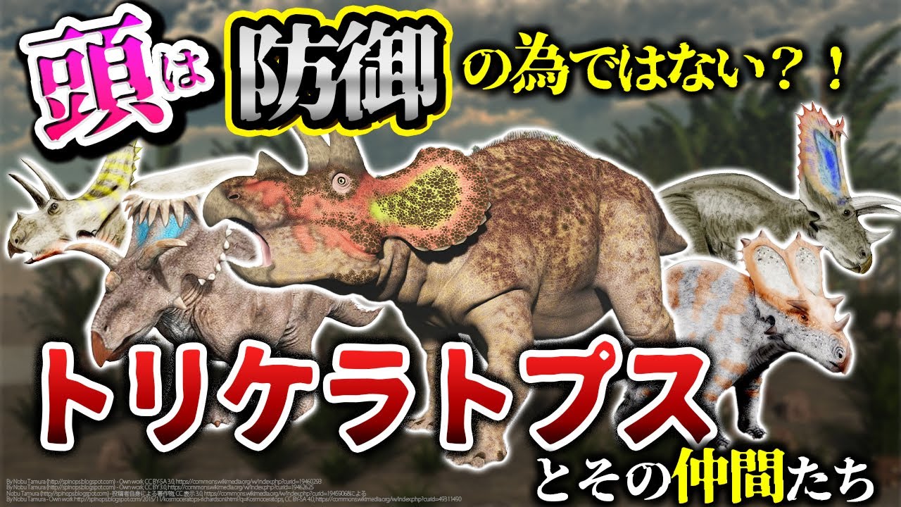 【ゆっくり解説】その頭何に使うの？トリケラトプスとその仲間たちについて