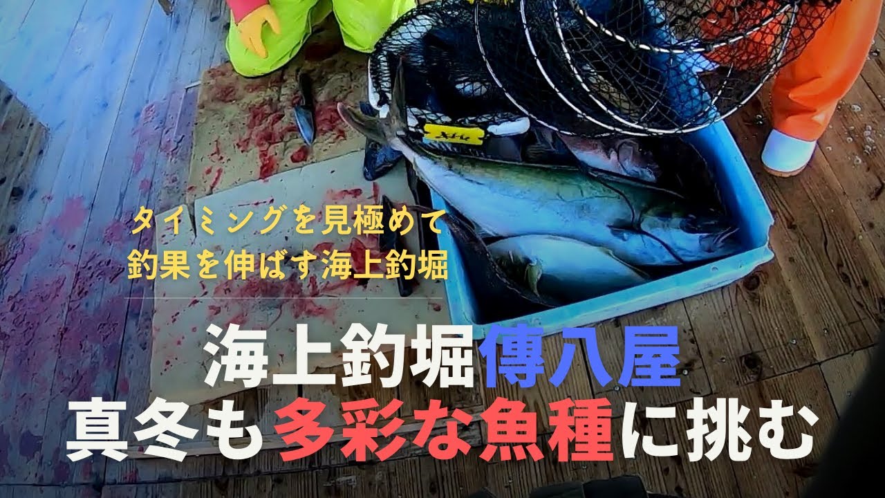 私のエサの選び方と久々に爆釣した傳八屋釣行