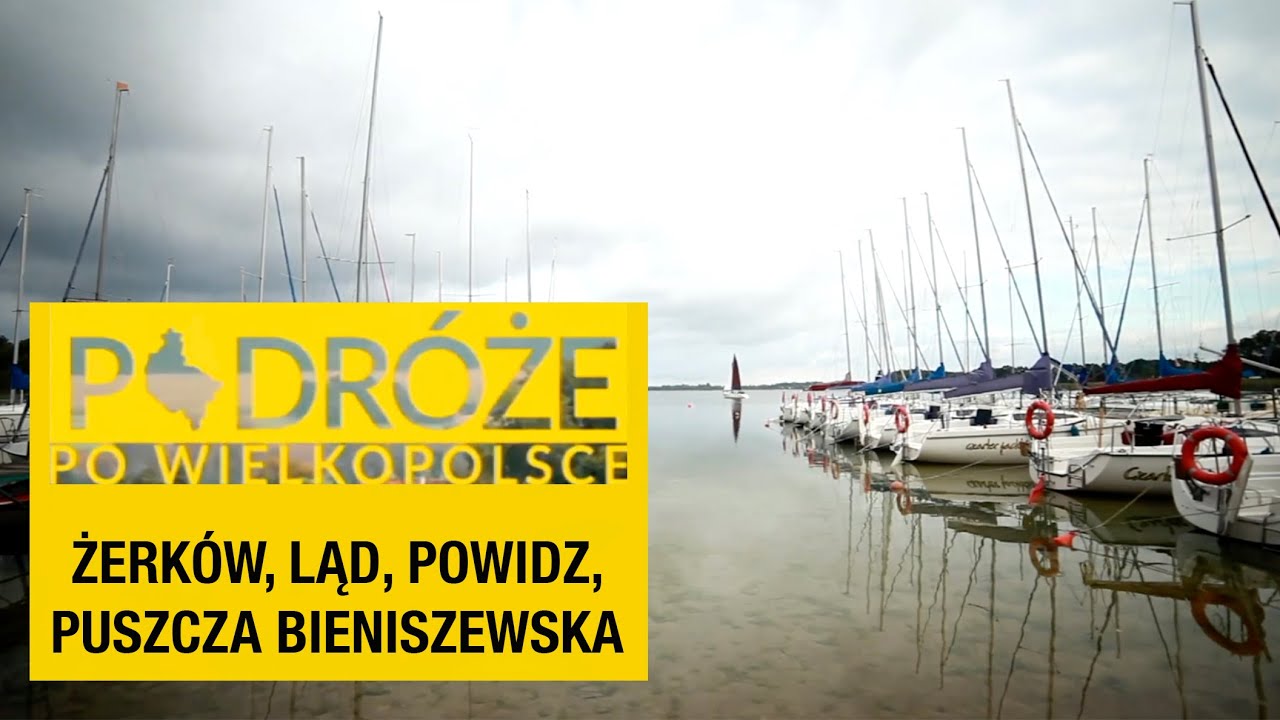 Żerków, Ląd, Puszcza Bieniszewska, Powidz - Dolina środkowej Warty i Pojezierze Gnieźnieńskie