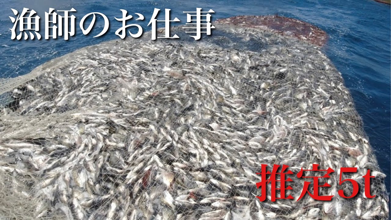 [漁師のお仕事]ド迫力！このチャンネル動画最大の大漁映像が撮れました！