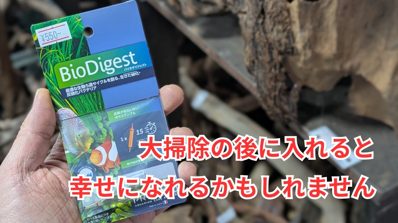 このバクテリア剤を大掃除の後に入れると色々と幸せになれるかもしれません！