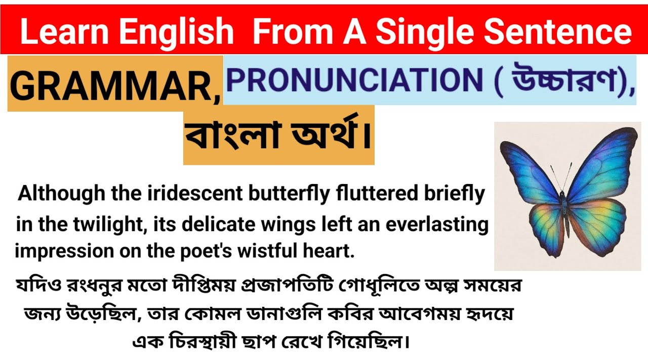 Learn English From Single Sentence | English Grammar, Pronunciation, Bengali Meaning #learnenglish 