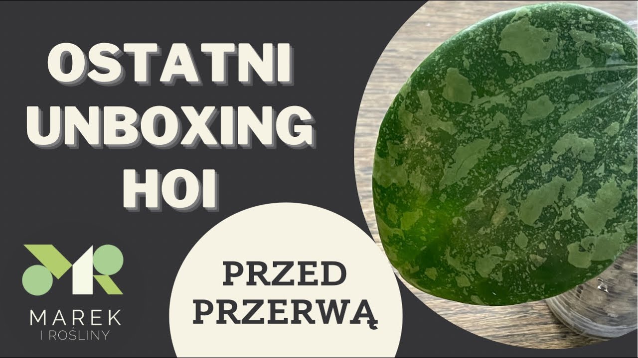 Ostatni unboxing przed przerwą